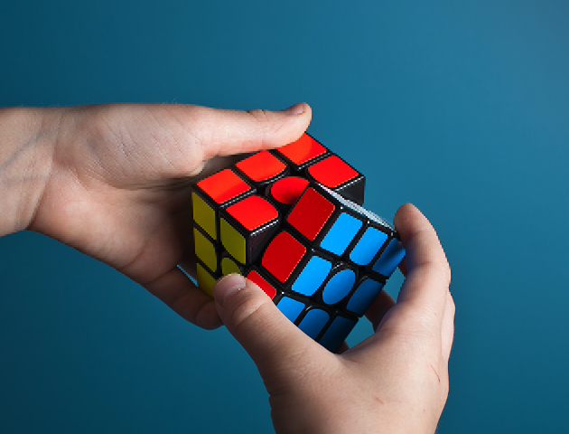 Making Sense of a Complex World