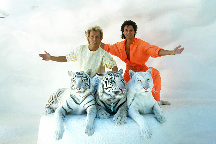 The real Siegfried and Roy: Wild facts, photos and footage