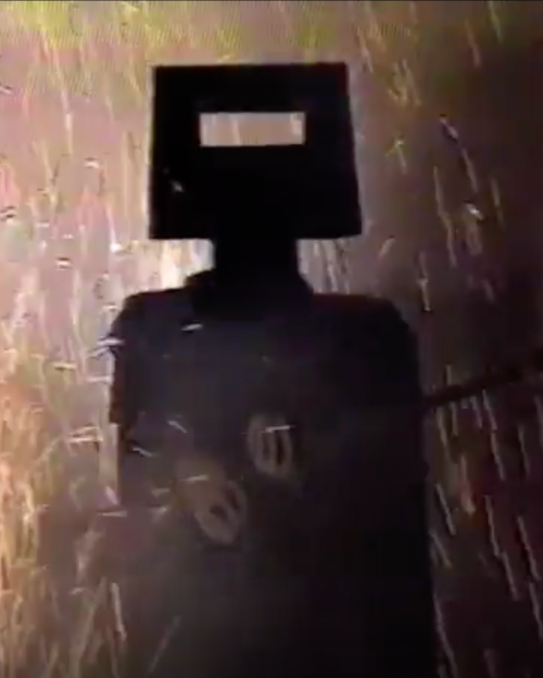 Ned Kelly makes his stand