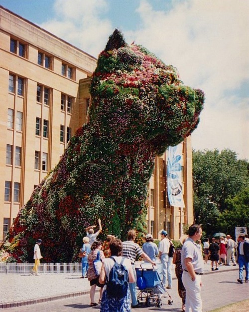 Jeff Koons' giant Puppy is born
