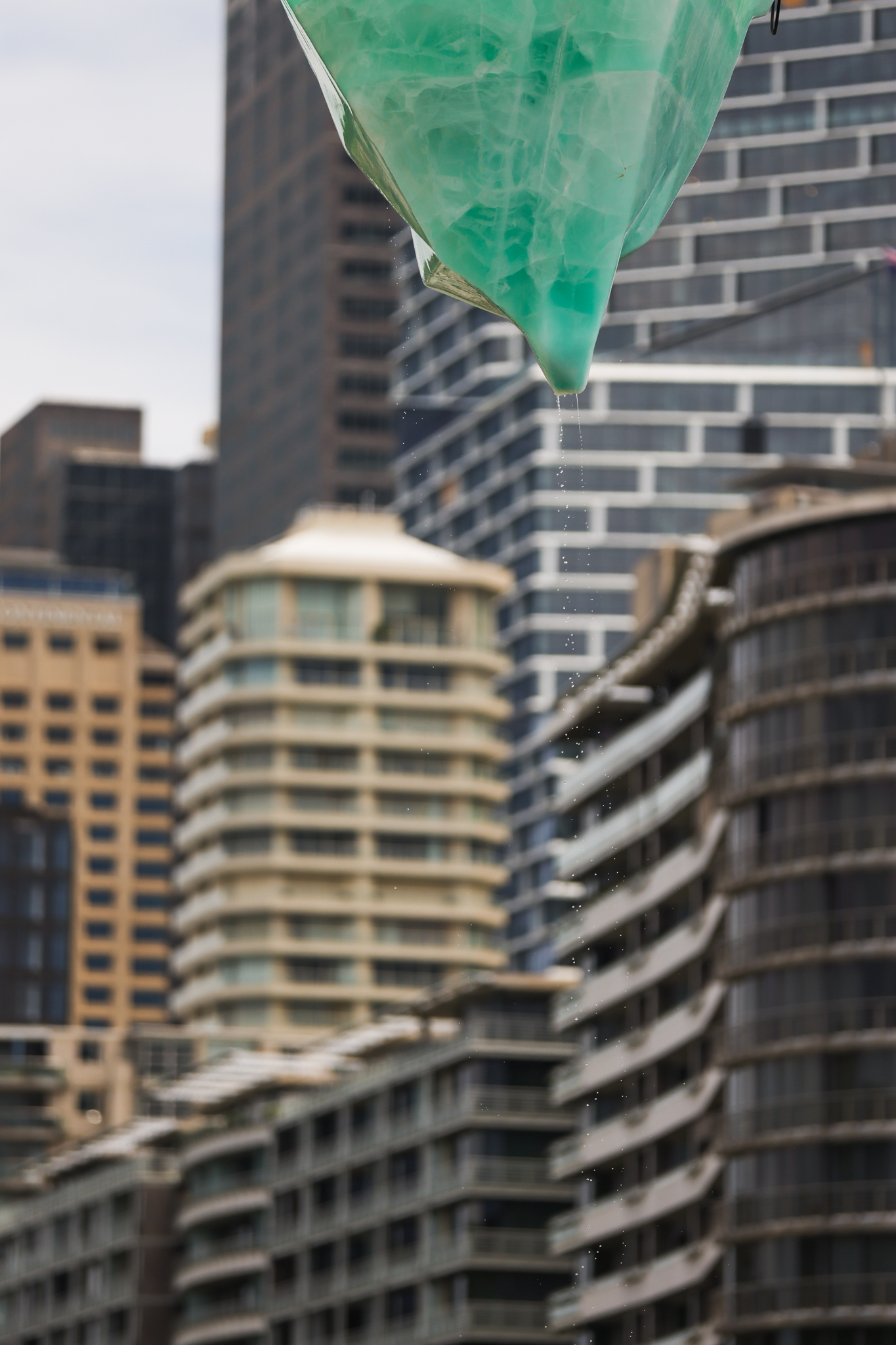 Image by Jacquie Manning