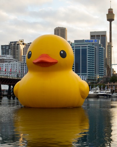 Rubber Duck