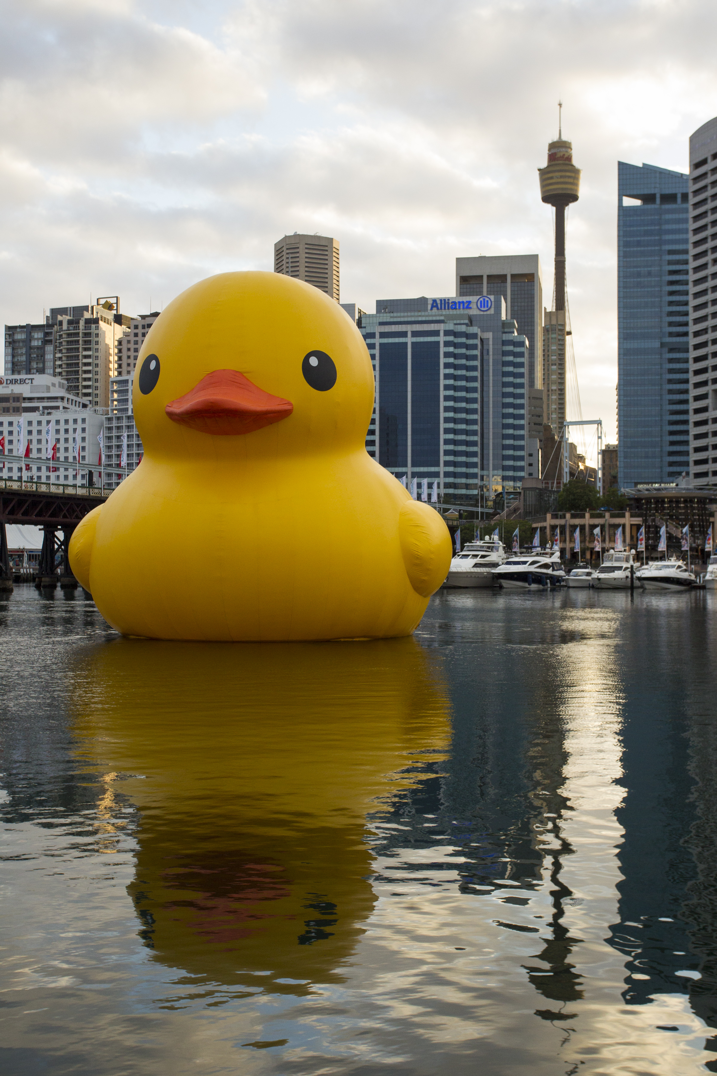 Photo by Jamie Williams