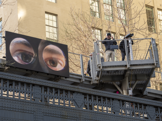 Julia Phillips on Observer Observed